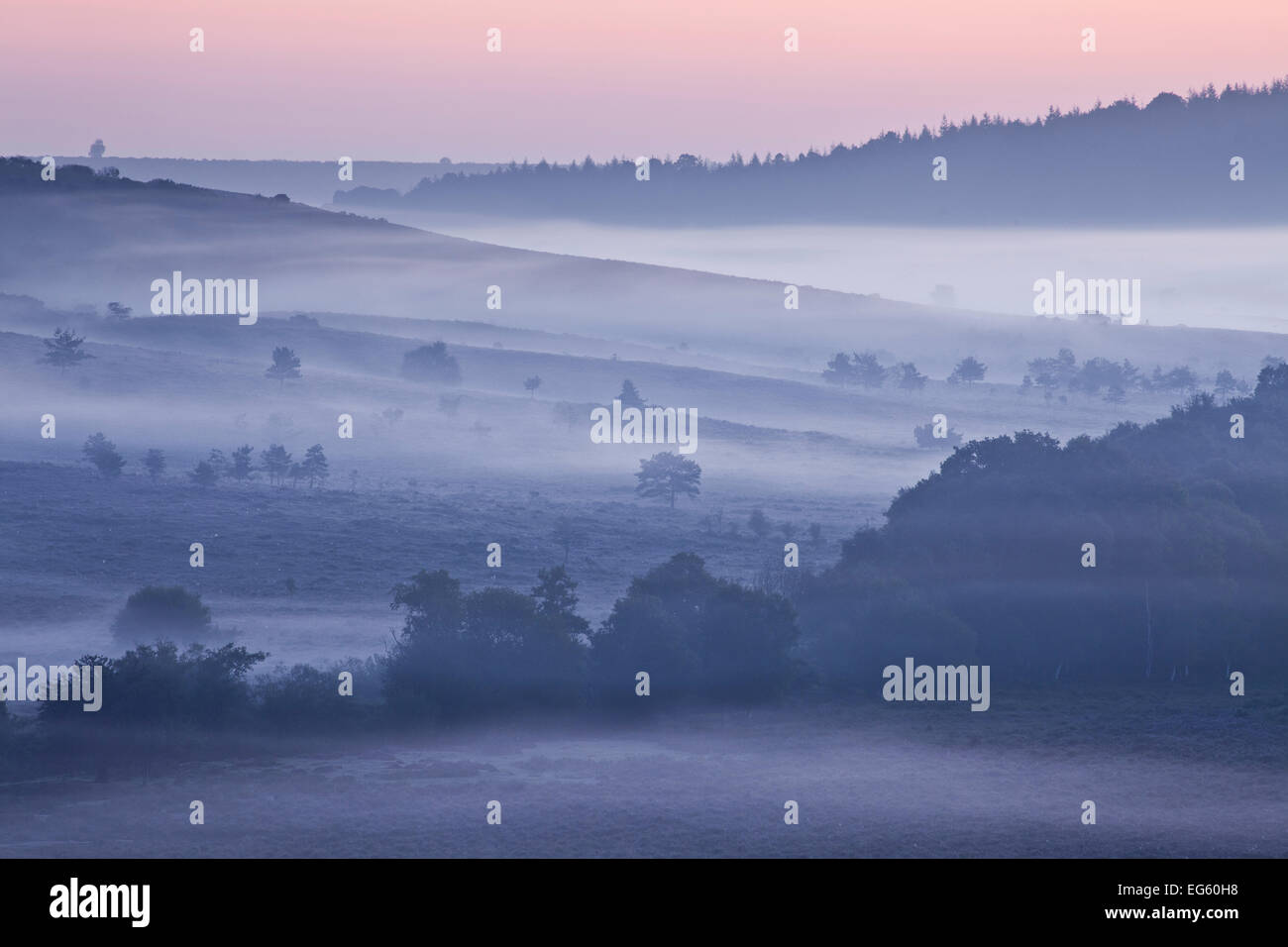 Blick über New Forest Tiefland Heide von Rockford gewöhnlich in der Morgendämmerung. Linwood, New Forest National Park, Hampshire, England, Vereinigtes Königreich Stockfoto