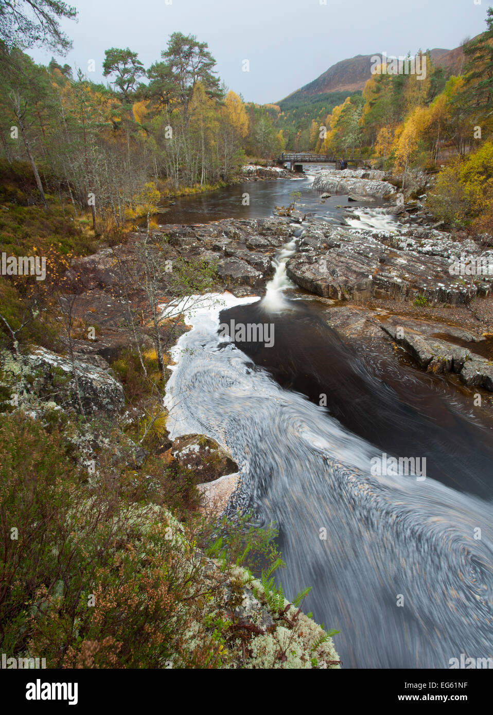Fluss Affric fließt durch silberne Birke und Kiefer Wald im Herbst, Glen Affric, Highland, Schottland, UK, Oktober 2010 Stockfoto
