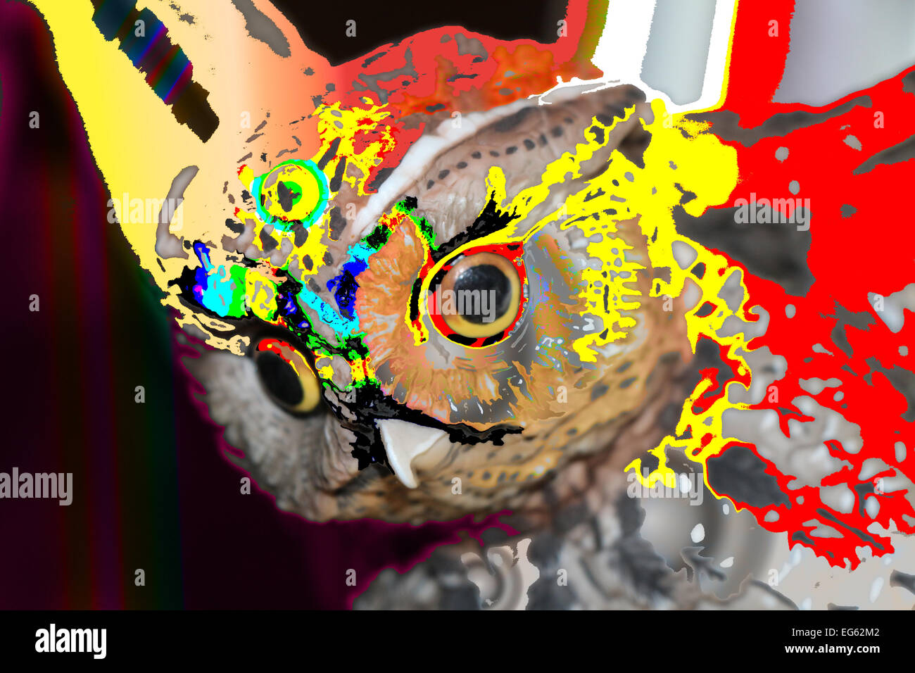 1; ABSTRAKTE Eule Tier Tiere; Kunst; Modell des Künstlers; Künstlers Modelle; Palette des Künstlers; Künstlers Paletten; Vogel; Raubvogel; Vögel; Vogel Stockfoto