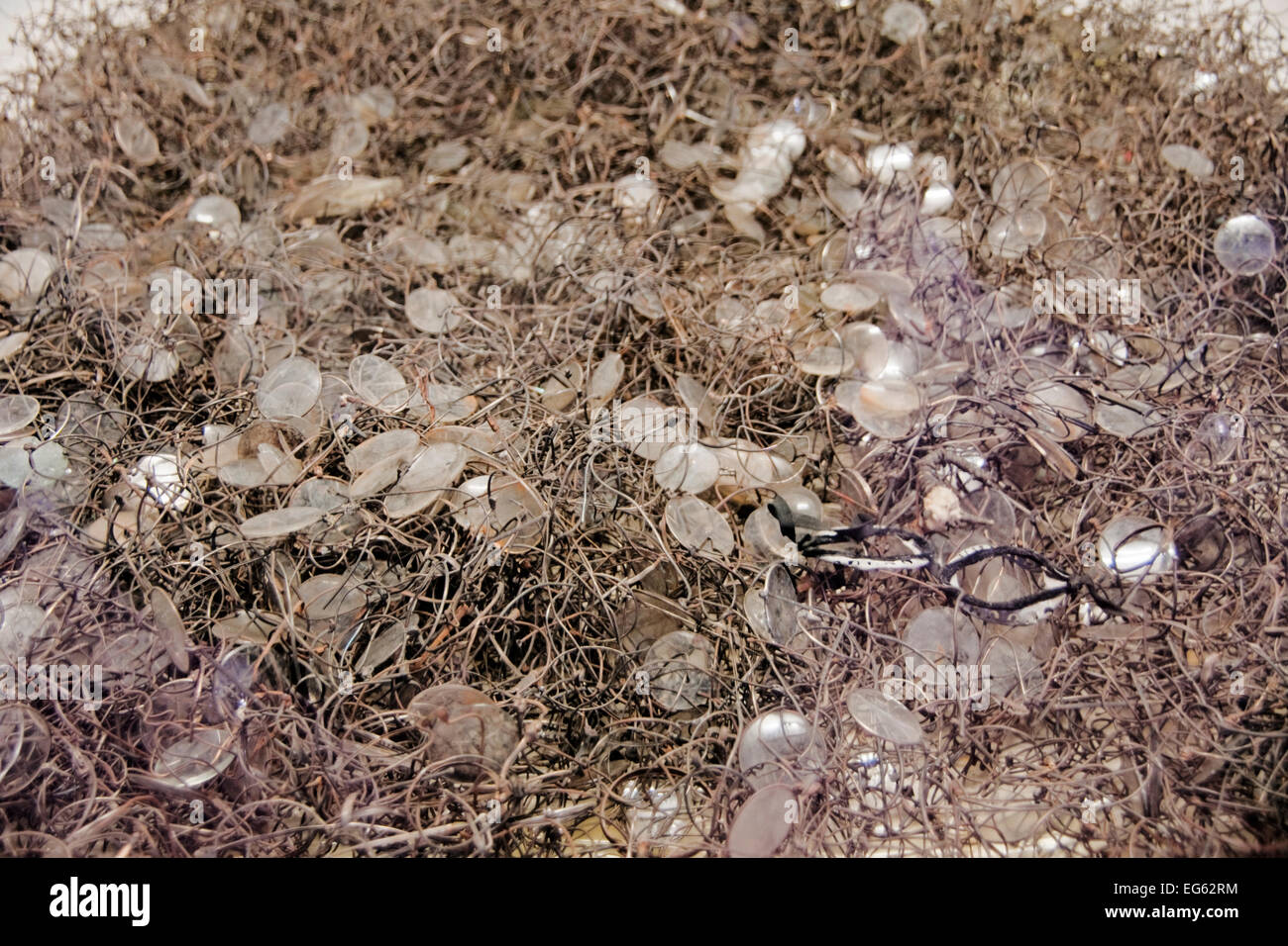 Auschwitz-Brillen von Opfern Stockfoto