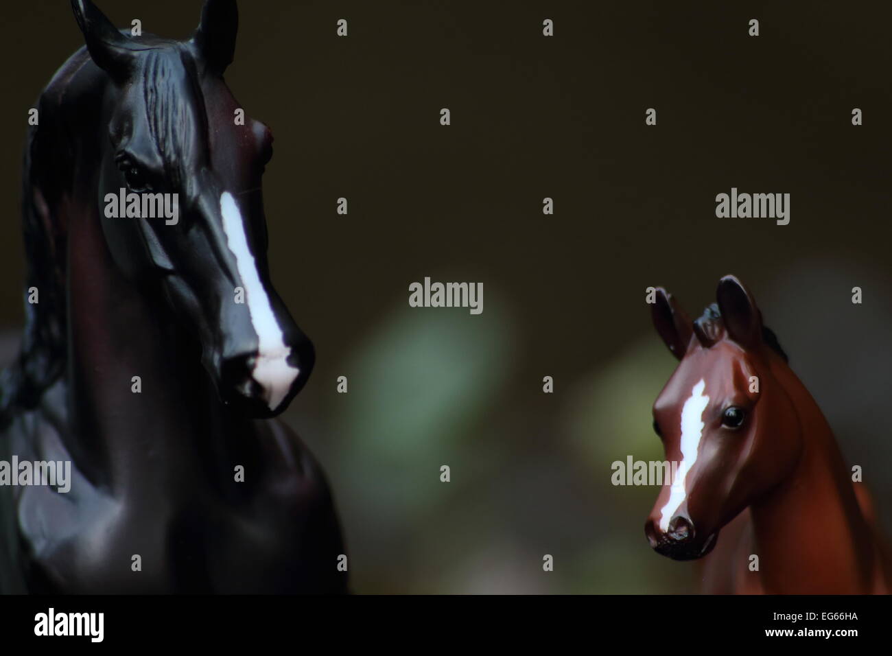 Ein detailliertes Foto von zwei Pferde Gesichter gerahmt auf jeder Seite des Schusses in einer natürlichen Umgebung. Still Life Fotografie. Stockfoto