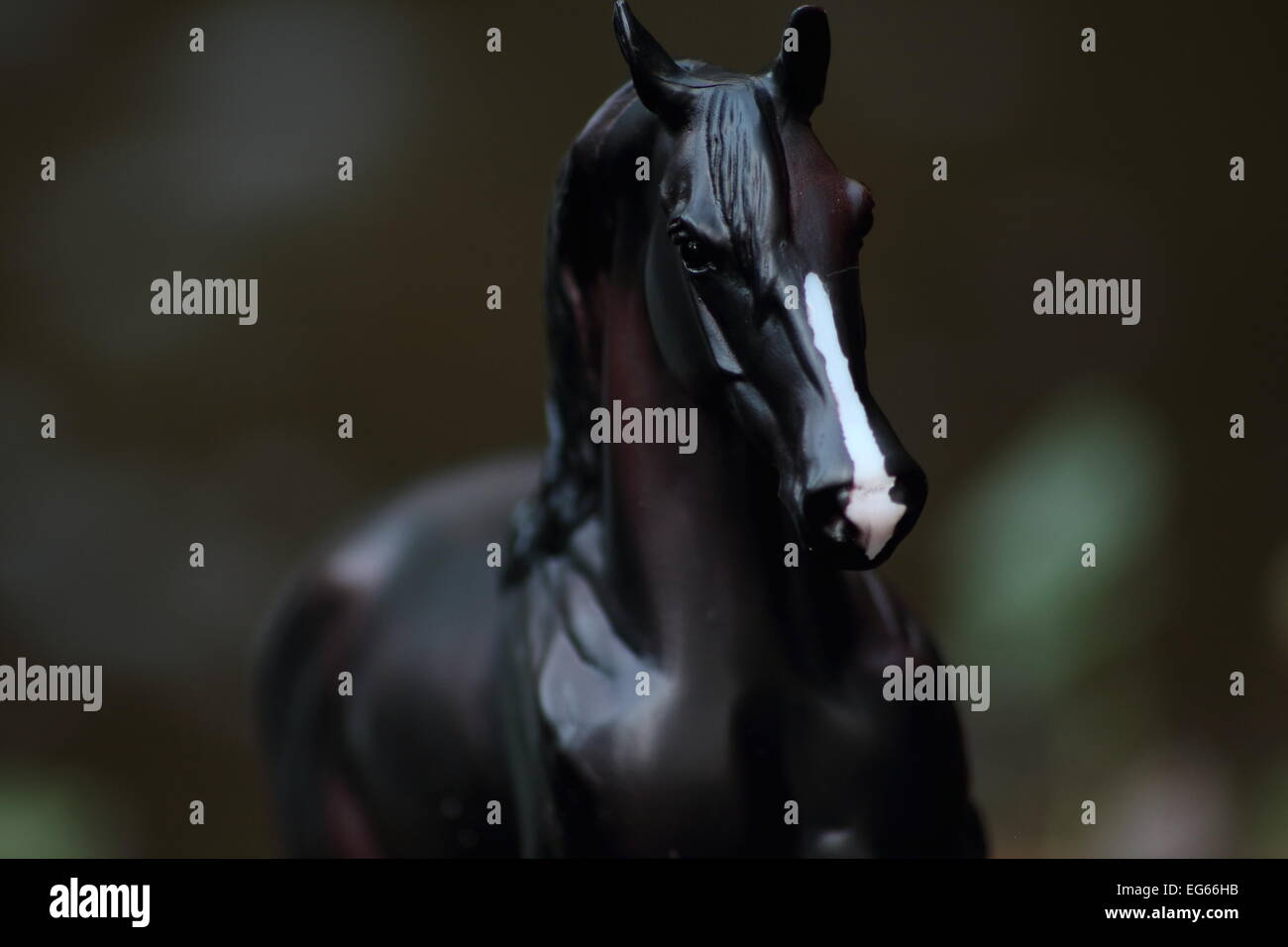 Eine detaillierte Aufnahme von einem Erwachsenen Pferd Gesicht. Still Life Fotografie. Stockfoto