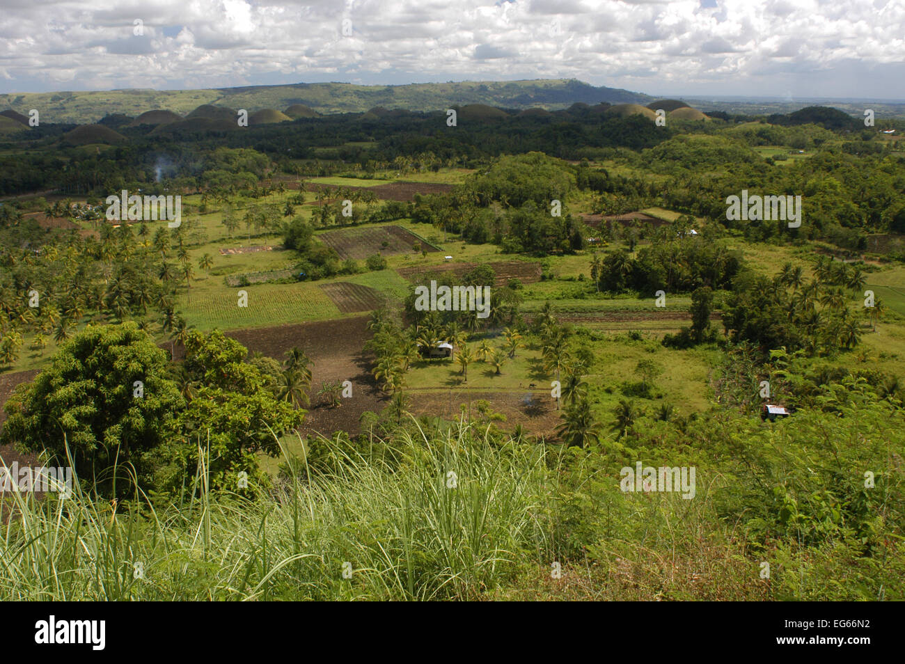 Mountains Chocolate Hills. Bohol. Die Visayas. Philippinen. Die Chocolate Hills sind eine geologische Formation in Bohol Provinz, Ph Stockfoto