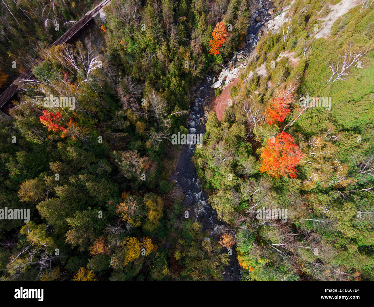 Herbstfärbung punktieren die steilen Talwänden der Port Credit River und Katarakt fällt in den Gabeln des The Credit Provincial Park Stockfoto