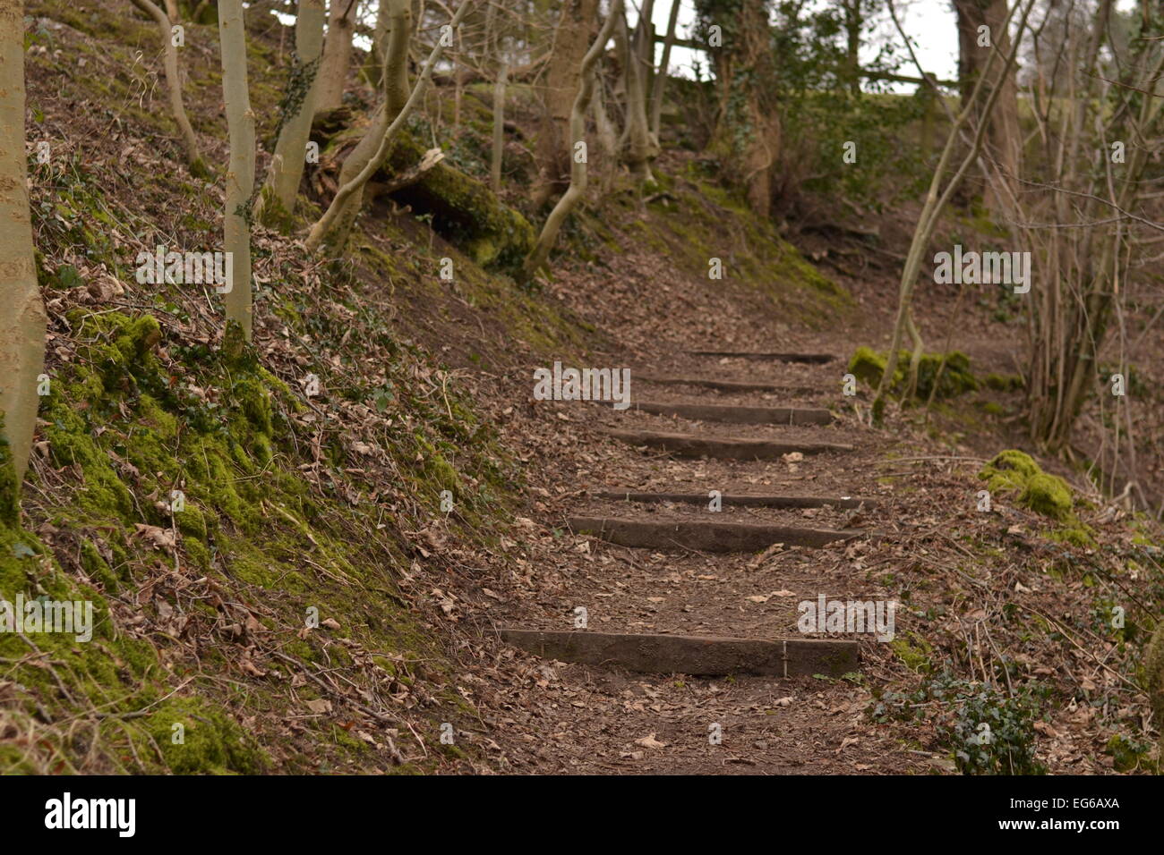 Schritt zu Höhen. Stockfoto