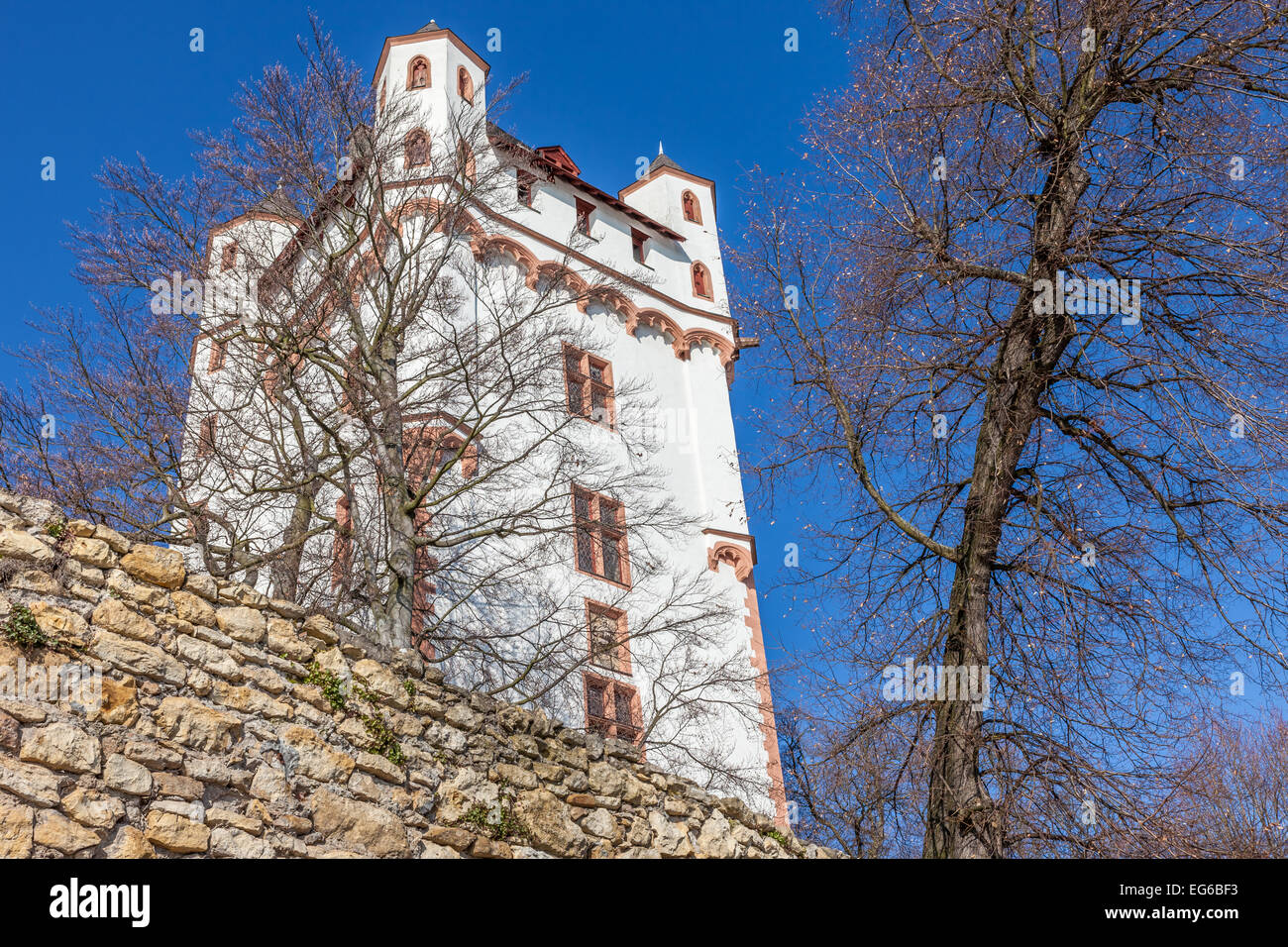 Kurfürstlichen Burg Eltville, Rheingau, Hessen, Deutschland Stockfoto