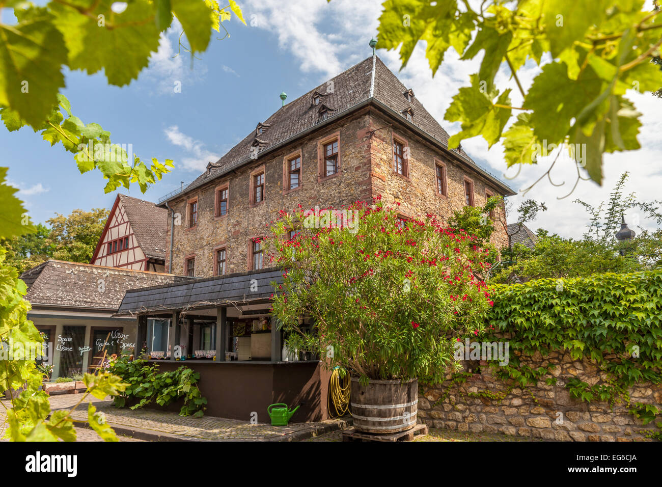 Torbogen auf einem Weingut in Eltville, Rhein, Deutschland Stockfoto
