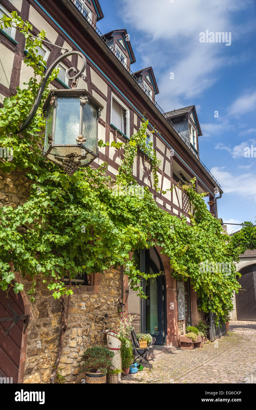 Torbogen auf einem Weingut in Eltville, Rhein, Deutschland Stockfoto