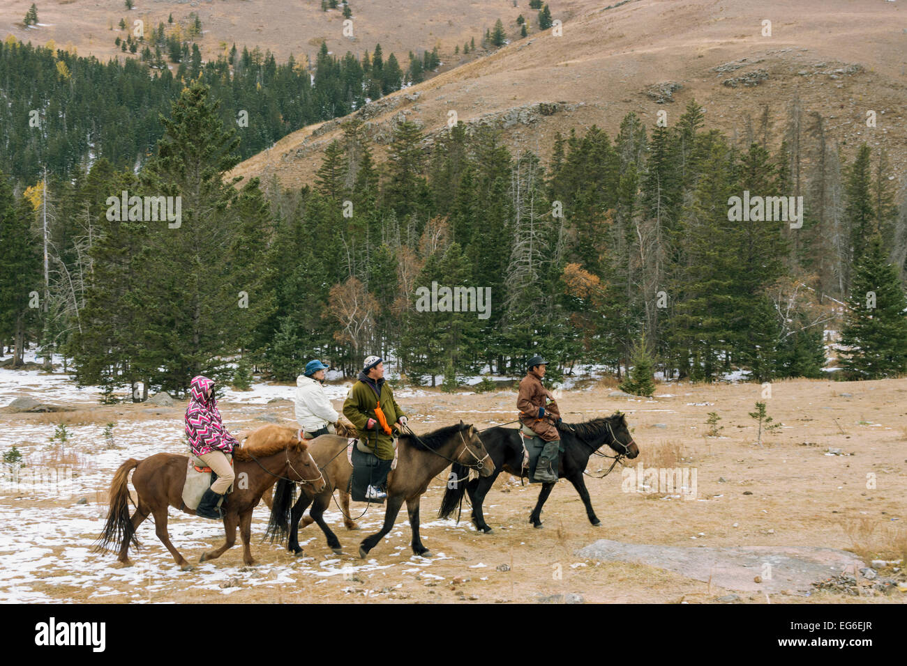 Reiten in den Bergen von Bogd Khan in der Nähe von Manzushir Kloster, Mongolei Stockfoto