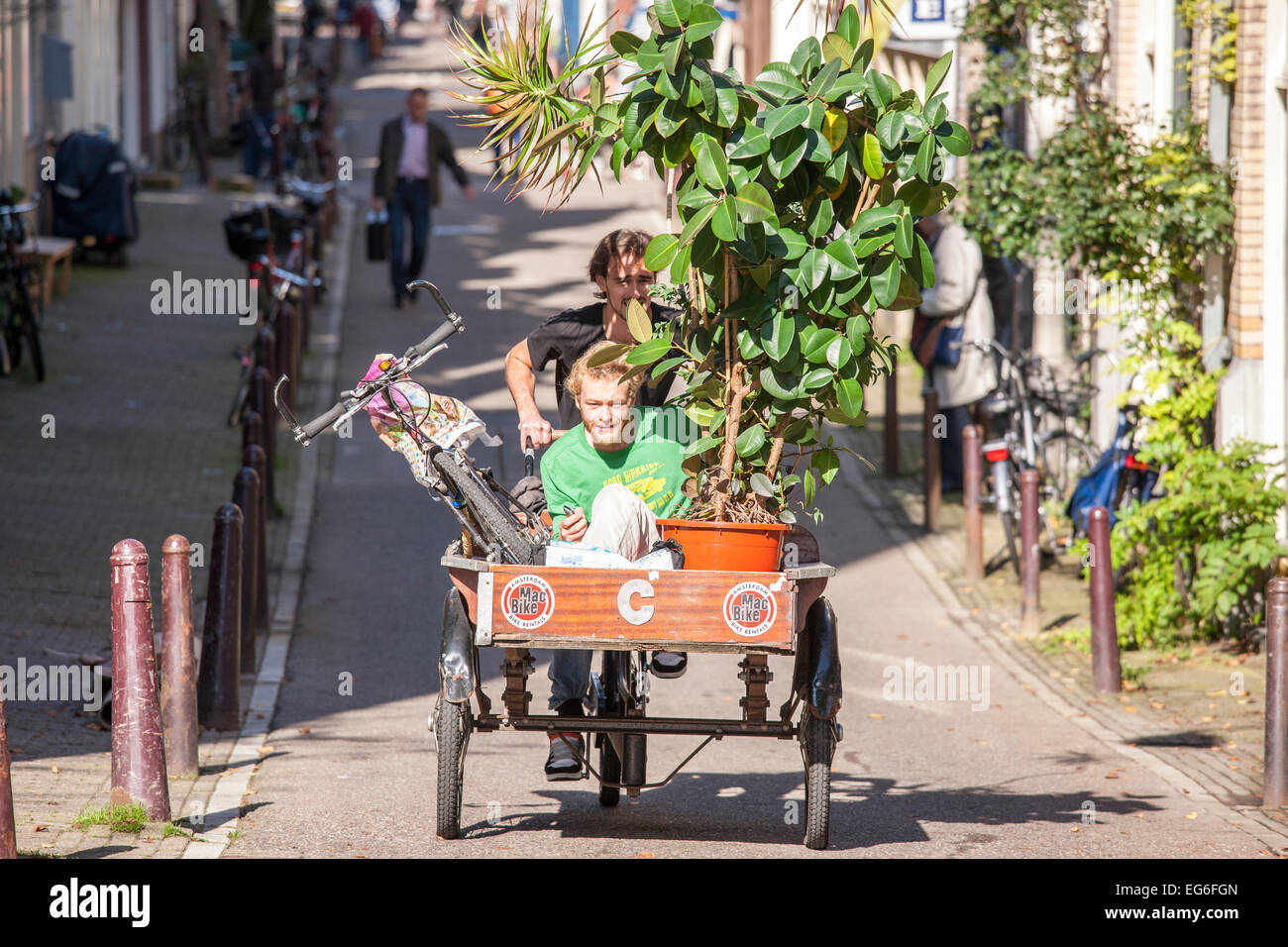 Cargo Bike Amsterdam Studenten Umzug mit gemieteten MacBike Cargo Fahrrad, Träger-Zyklus, Fracht Dreirad. Niederländisch: Bakfiets Stockfoto