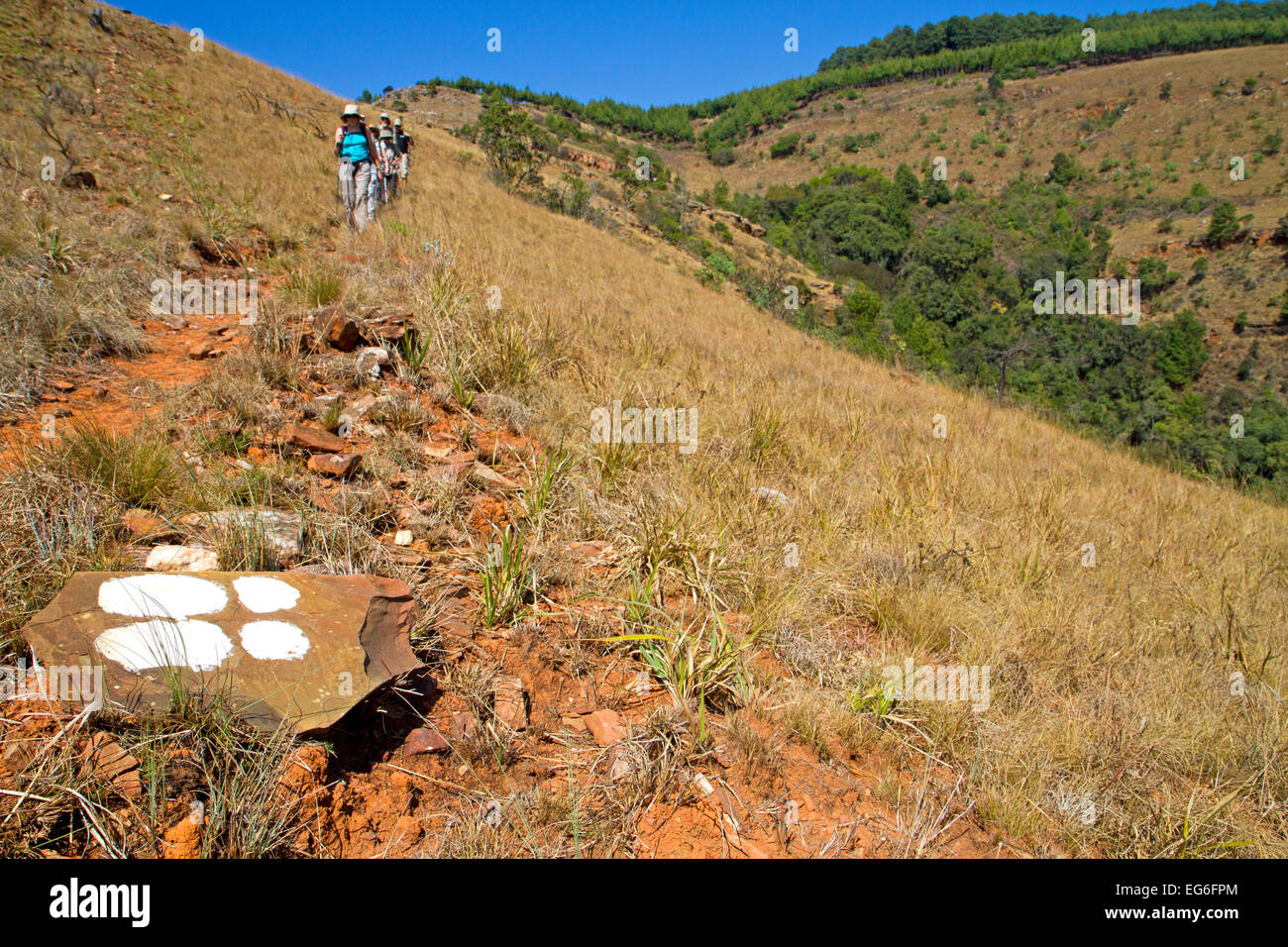 Wanderer auf der Goldsucher Wanderweg in der Nähe von Pilgrim es Rest Stockfoto