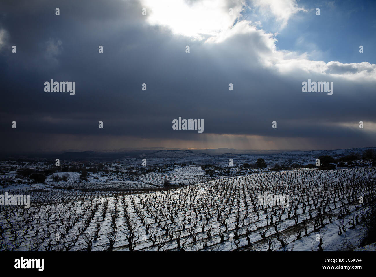 02.08.15 Schnee bedeckten Rioja Weinberge in der Nähe von Samaniego, Alava, Baskisches Land, Spanien. Foto von James Sturcke. Stockfoto