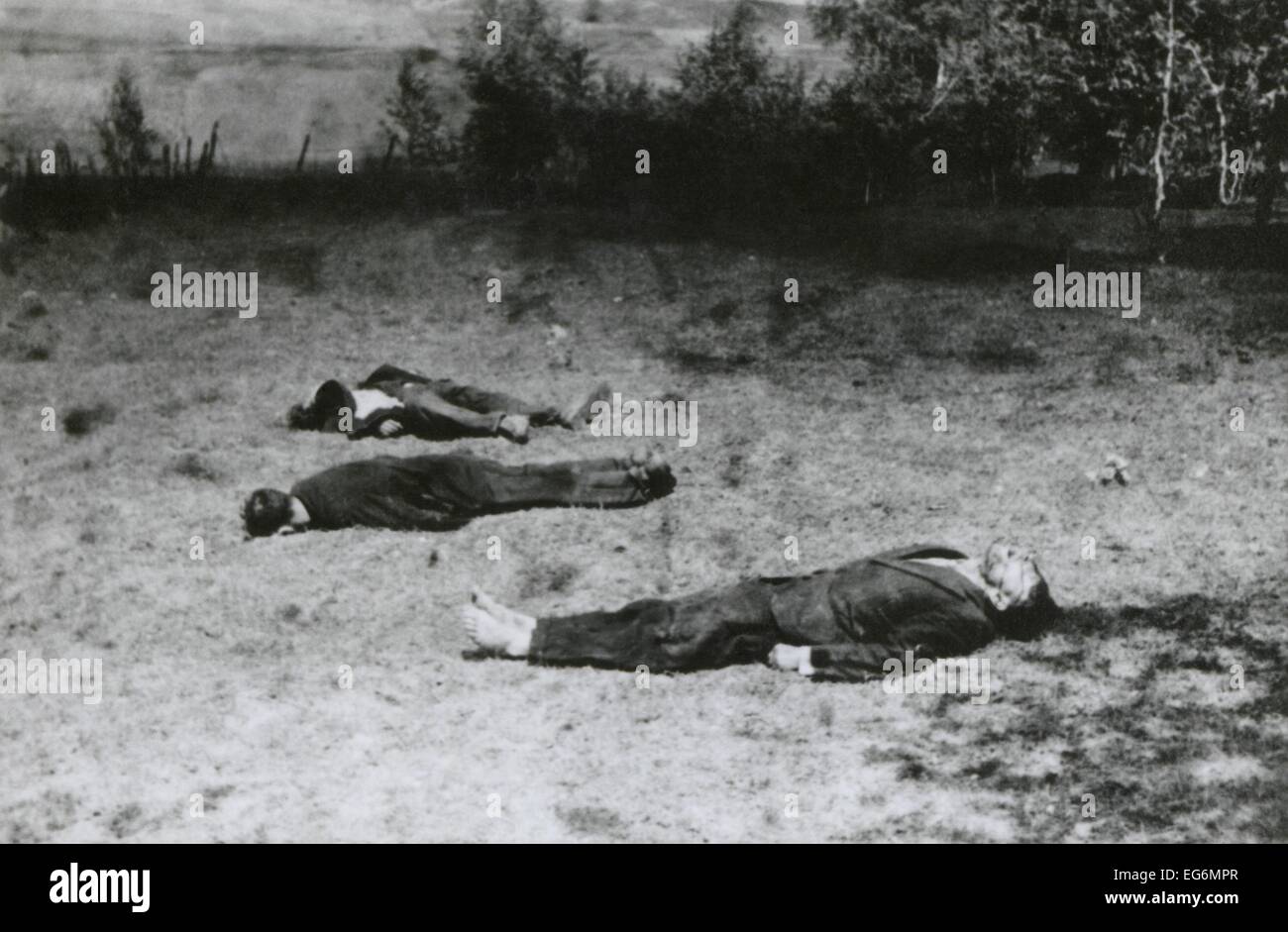 Sowjetische Partisanen während der deutschen Invasion in Russland im Sommer 1941 von deutschen Soldaten erschossen. Dem 2. Weltkrieg. Dem 2. Weltkrieg. Stockfoto