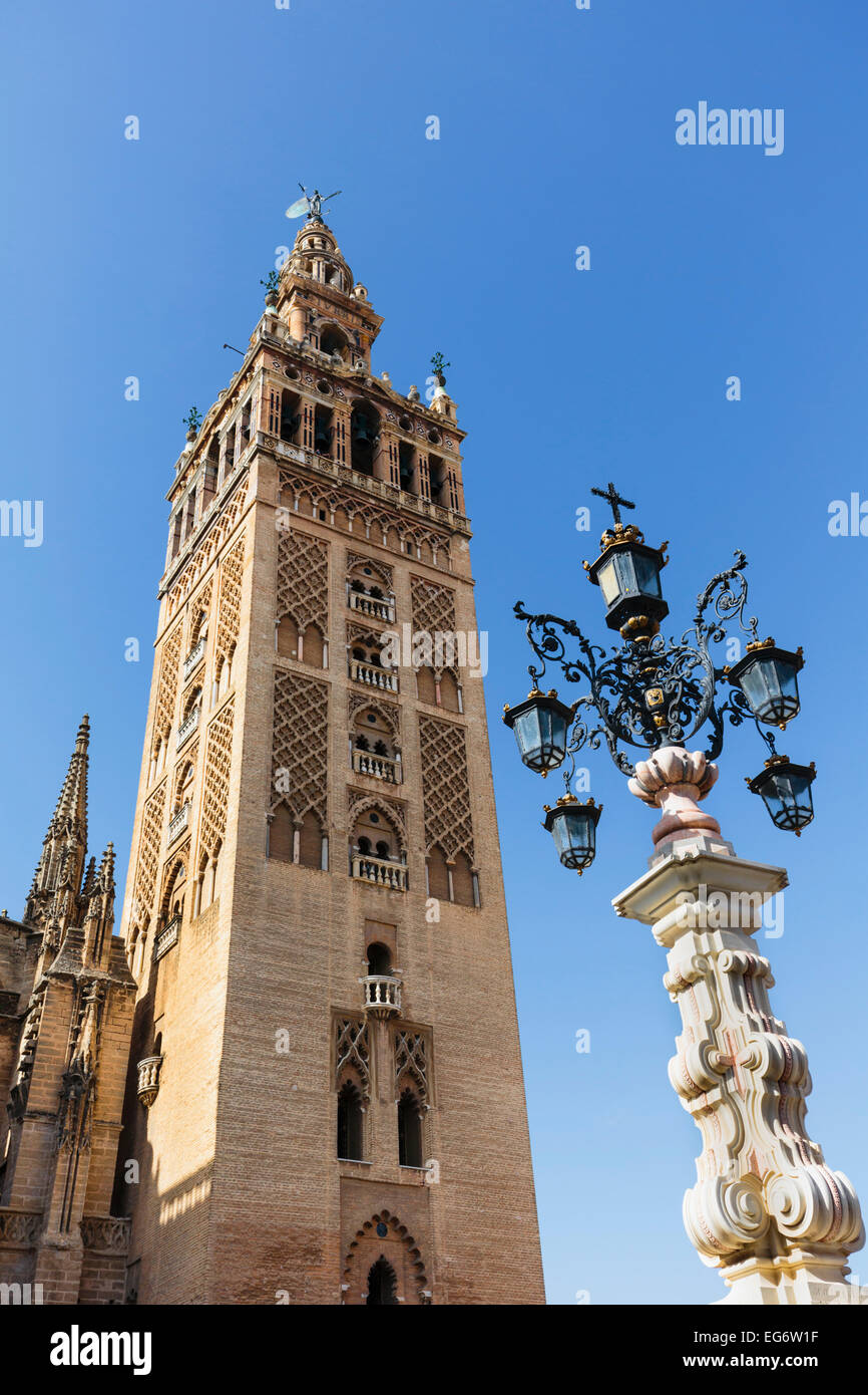 Sevilla, Provinz Sevilla, Andalusien, Südspanien.  Die Giralda Turm von der Plaza De La Alianza gesehen. Stockfoto