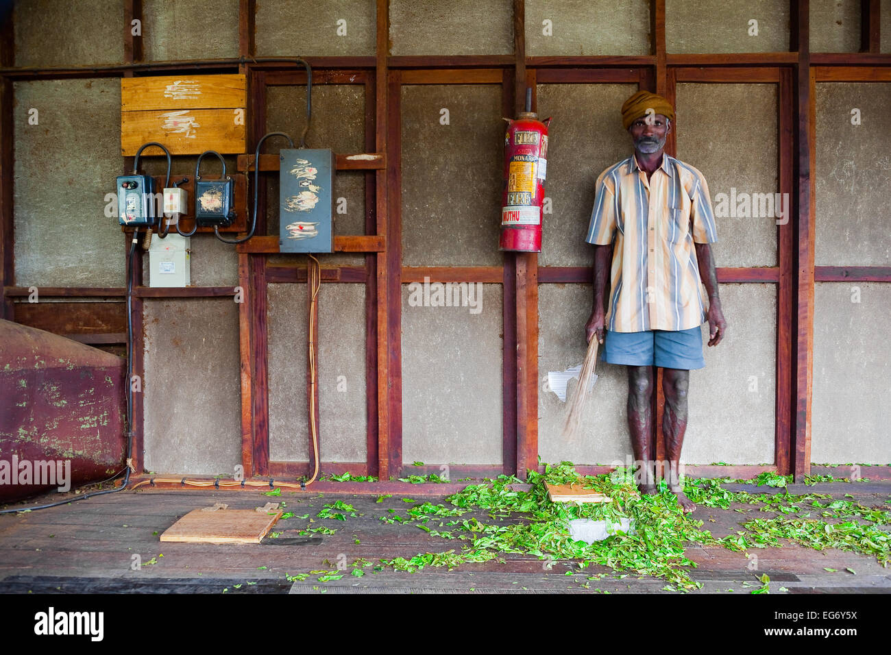 Tee-Prozessor in einer Teefabrik in Munnar Indien Stockfoto