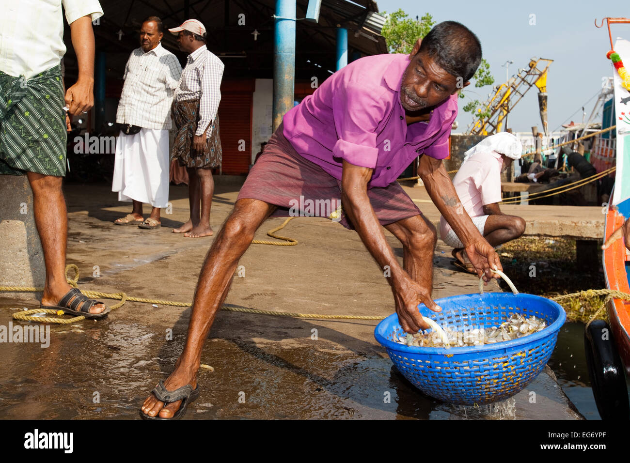Fischer auf Vypen Insel Fischerhafen bringt in der Dämmerung fangen, Cochin, Indien Stockfoto