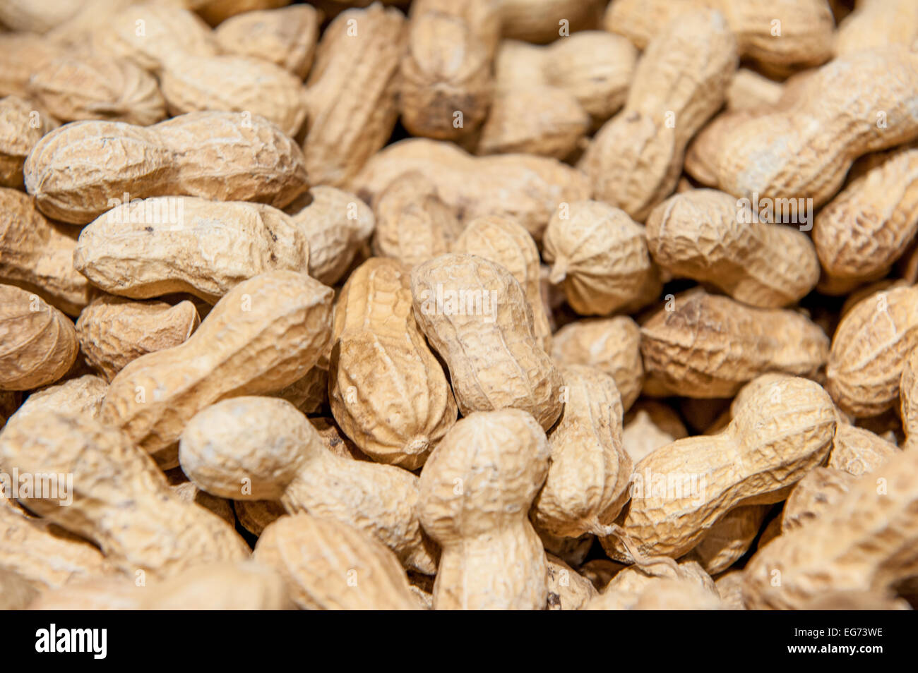 Detail der Heap von Erdnüssen in Markt, Schwerpunkt im center Stockfoto