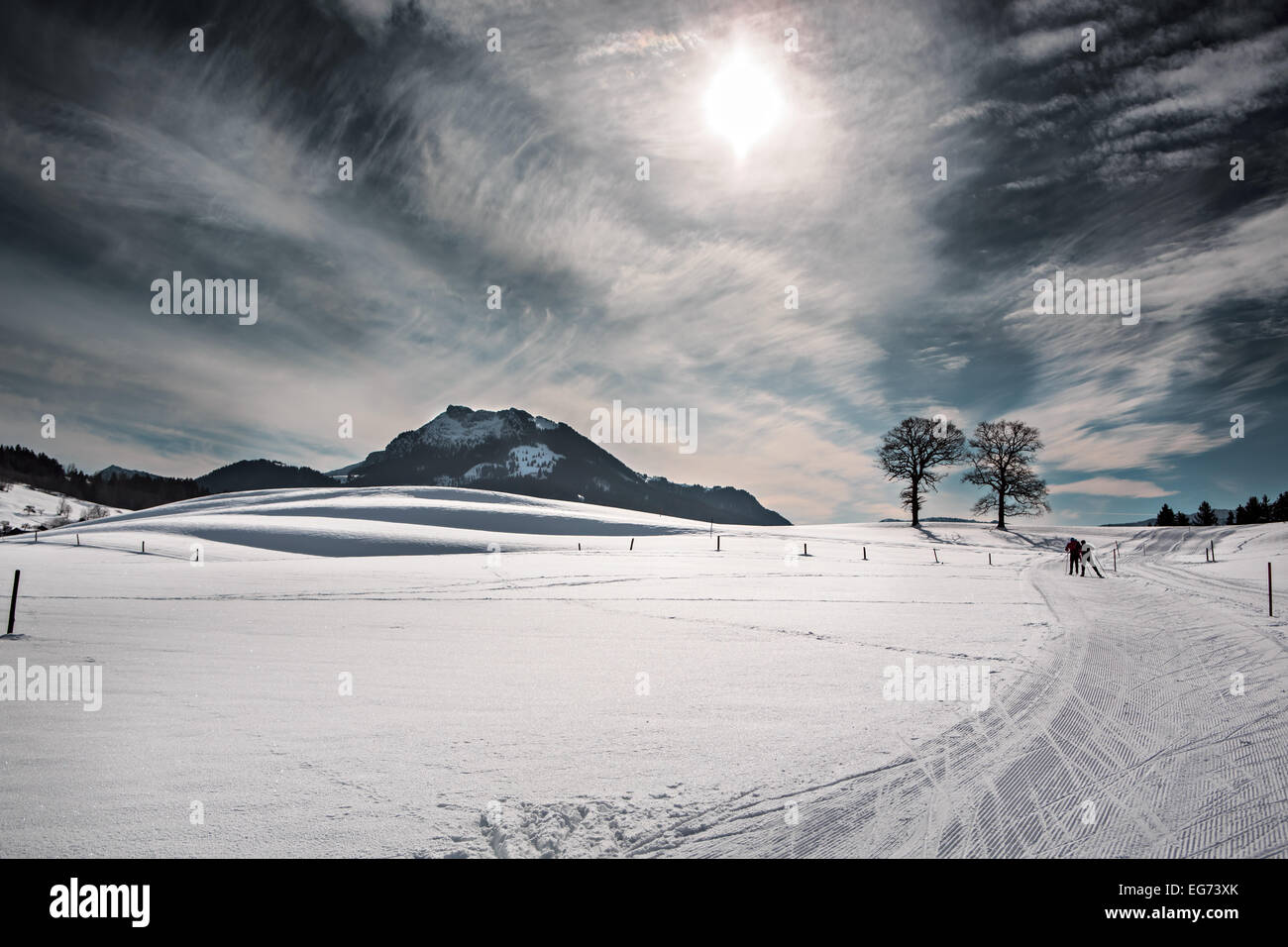 Langlaufloipe in der Nähe von Bayrischzell in Bayern, Deutschland Stockfoto