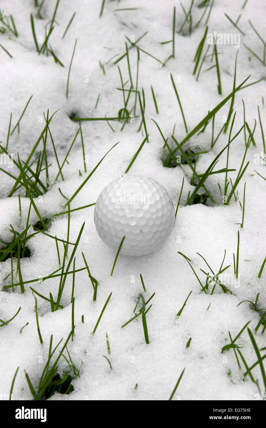 ein einsamer single Golfball im Schnee bedeckt Rasen in Irland im winter  Stockfotografie - Alamy