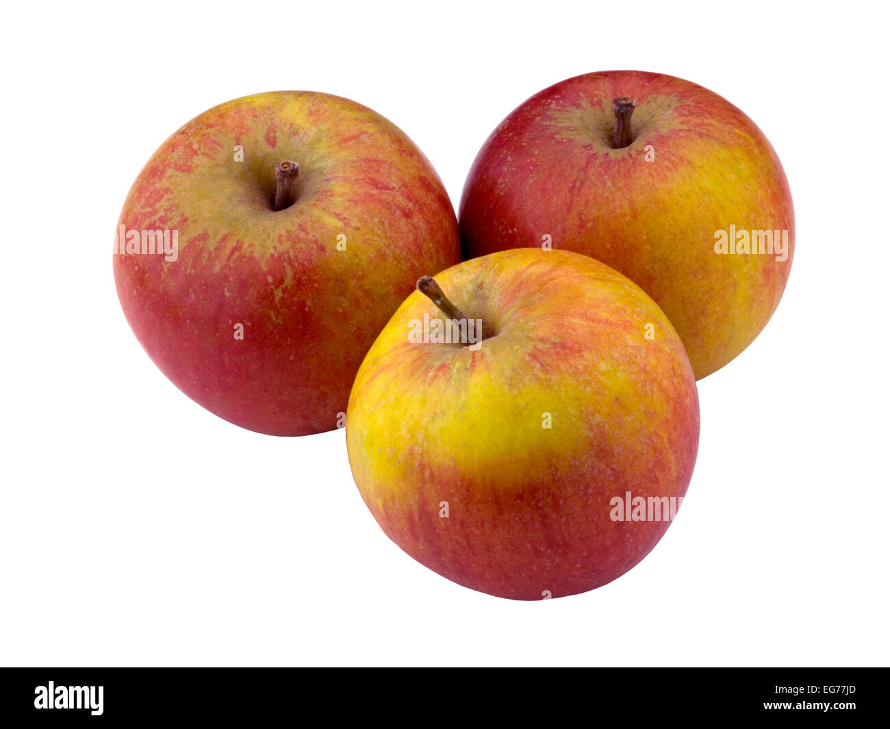 Äpfel, Cox Stockfoto