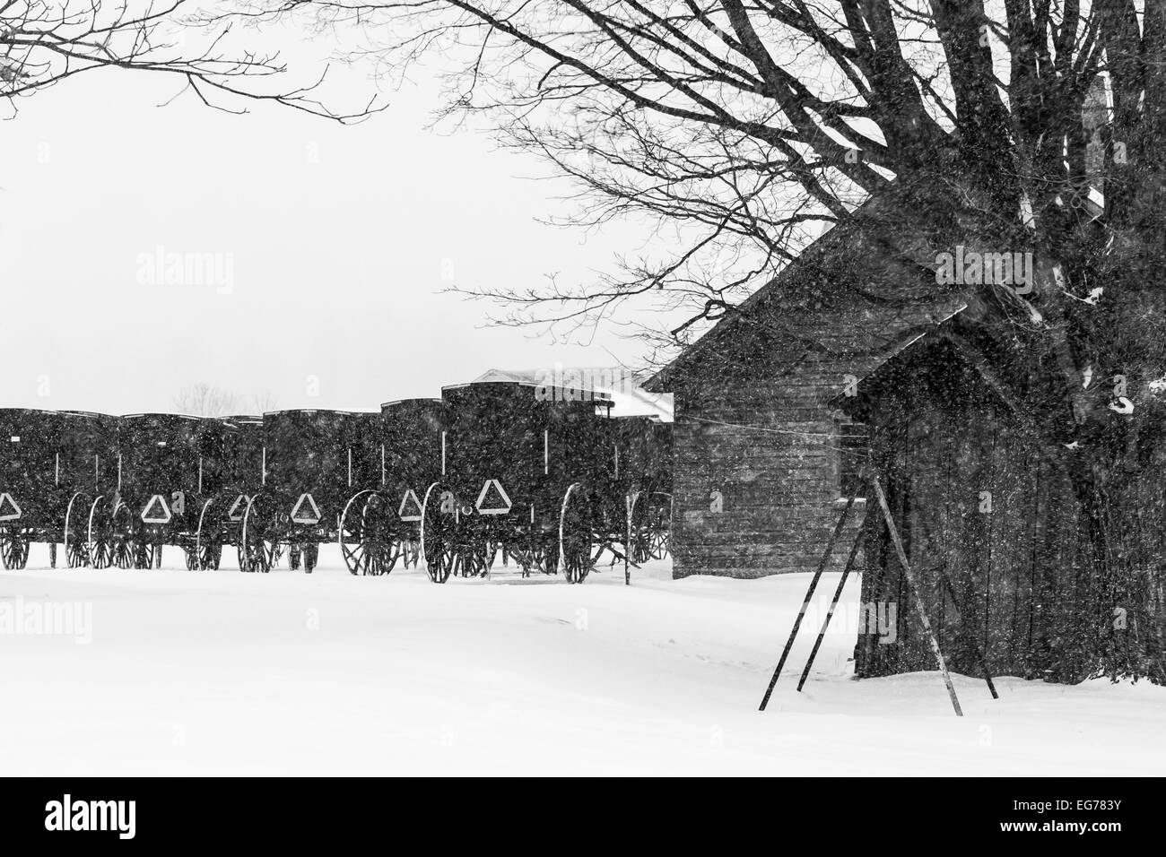 Sammlung von Amish Buggies geparkt auf einem Bauernhof für Sonntagsgottesdienste in der Nähe von Stanwood in central Michigan, USA Stockfoto