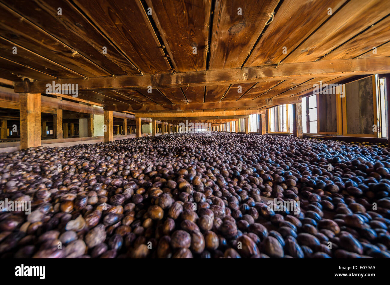 Grenada muskatnuss fabrik Fotos und Bildmaterial in hoher Auflösung