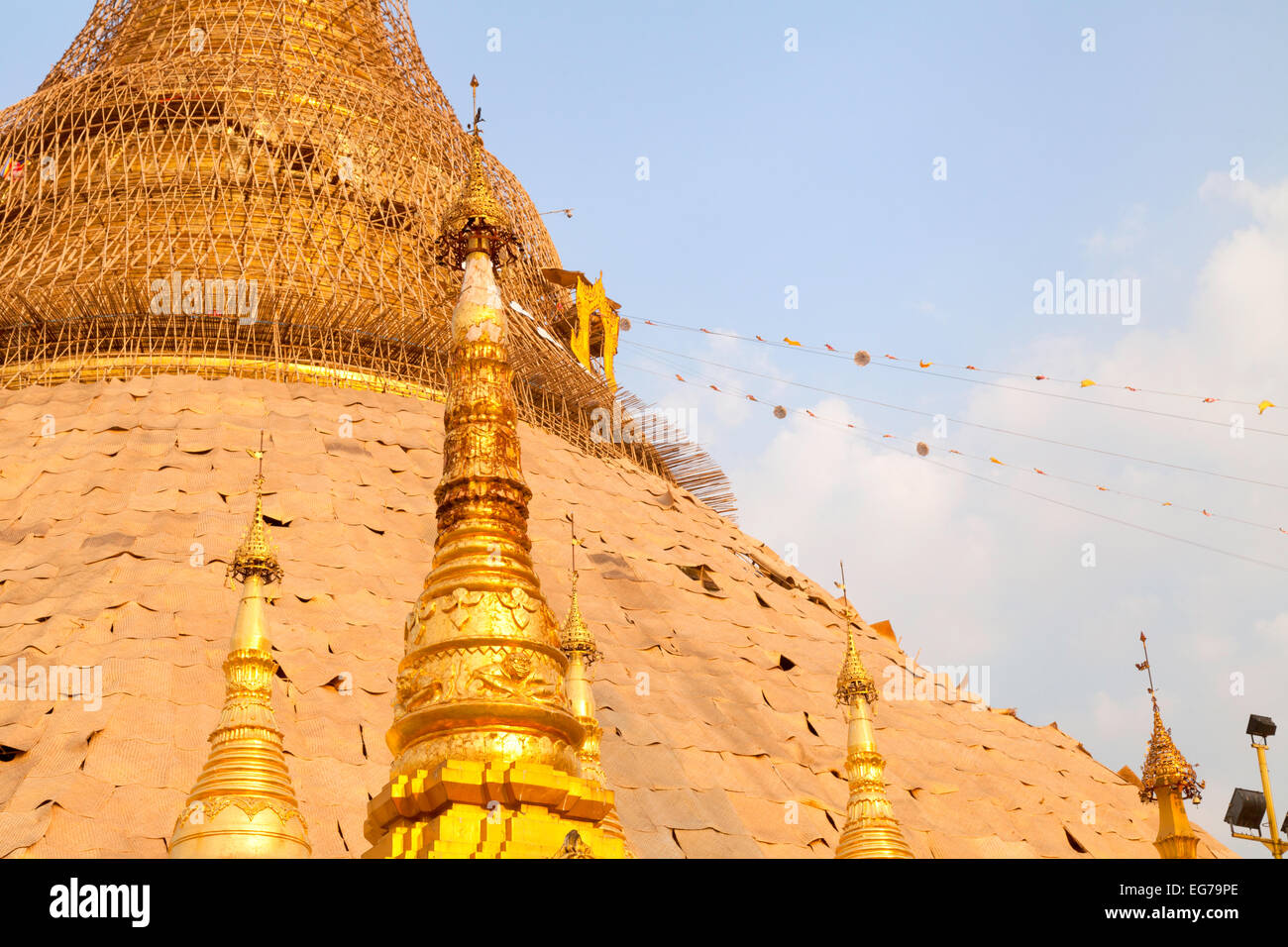 Die Shwedagon-Pagode mit Bambus-Gerüst für die 5 jährliche Weitergabe von Blattgold, Yangon, Myanmar (Burma), Asien Stockfoto