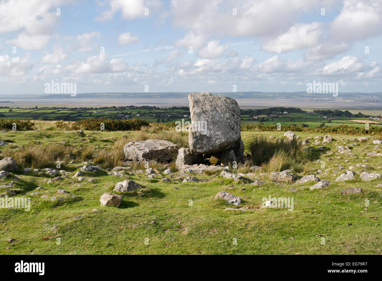 Arthurs Stone Grabkammer bei Reynoldston auf der Gower Halbinsel in Wales Landscape UK. Britische ländliche antike Geschichte Stockfoto