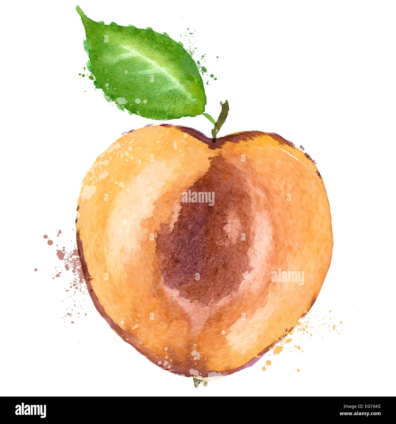 Aquarell. Obst auf weißem Hintergrund. Vektor-illustration Stockfoto