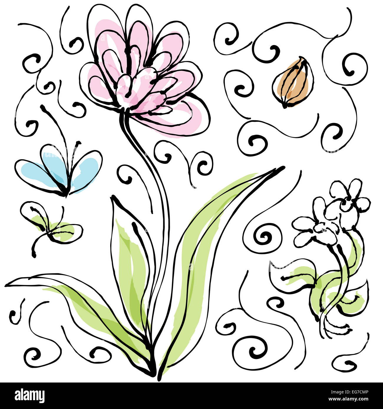 Ein Bild einer Pflanze Zeichnungssatz. Stockfoto