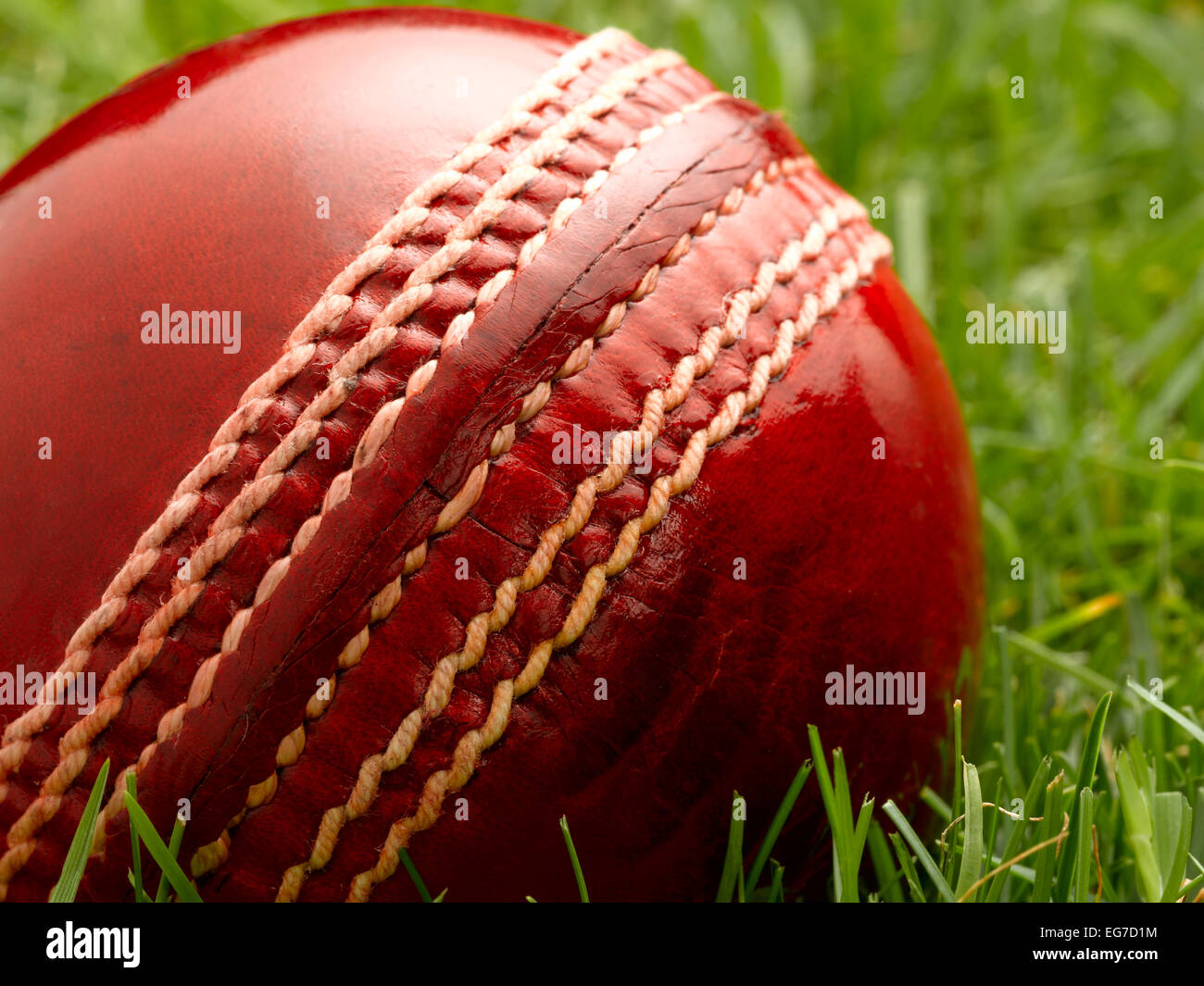 Rotem Leder Cricketball Stockfoto