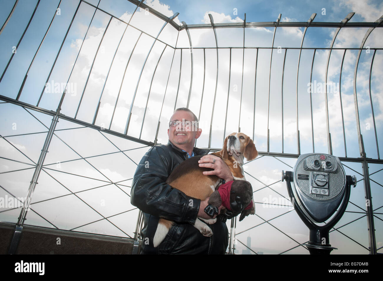 Manhattan, New York, USA. 18. Februar 2015. 2015 Westminster Kennel Club beste In Show Gewinner MISS P, ein Beagle mit Handler Will Alexander besucht das Empire State Building, Mittwoch, 18. Februar 2015. Bildnachweis: Bryan Smith/ZUMA Wire/ZUMAPRESS.com/Alamy Live-Nachrichten Stockfoto