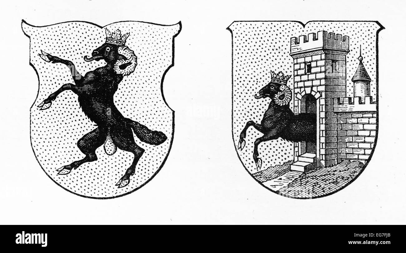 Jahrgang, die Zeichnung des Schweizerischen Schaffhausen Kanton Wappen aus 19. Jahrhundert Stockfoto