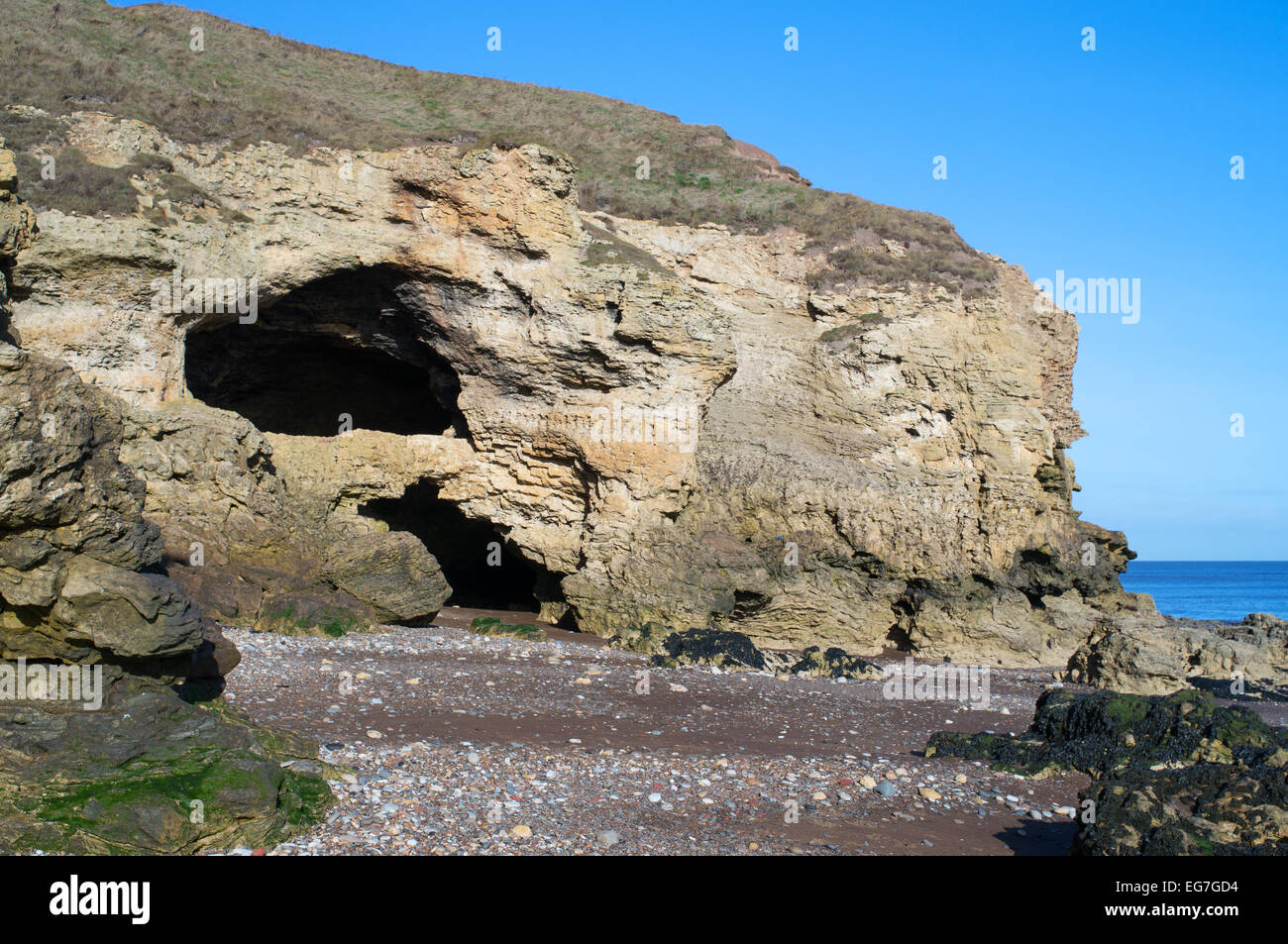 Meereshöhlen bei Blackhall Rocks, County Durham Küste, England, UK Stockfoto