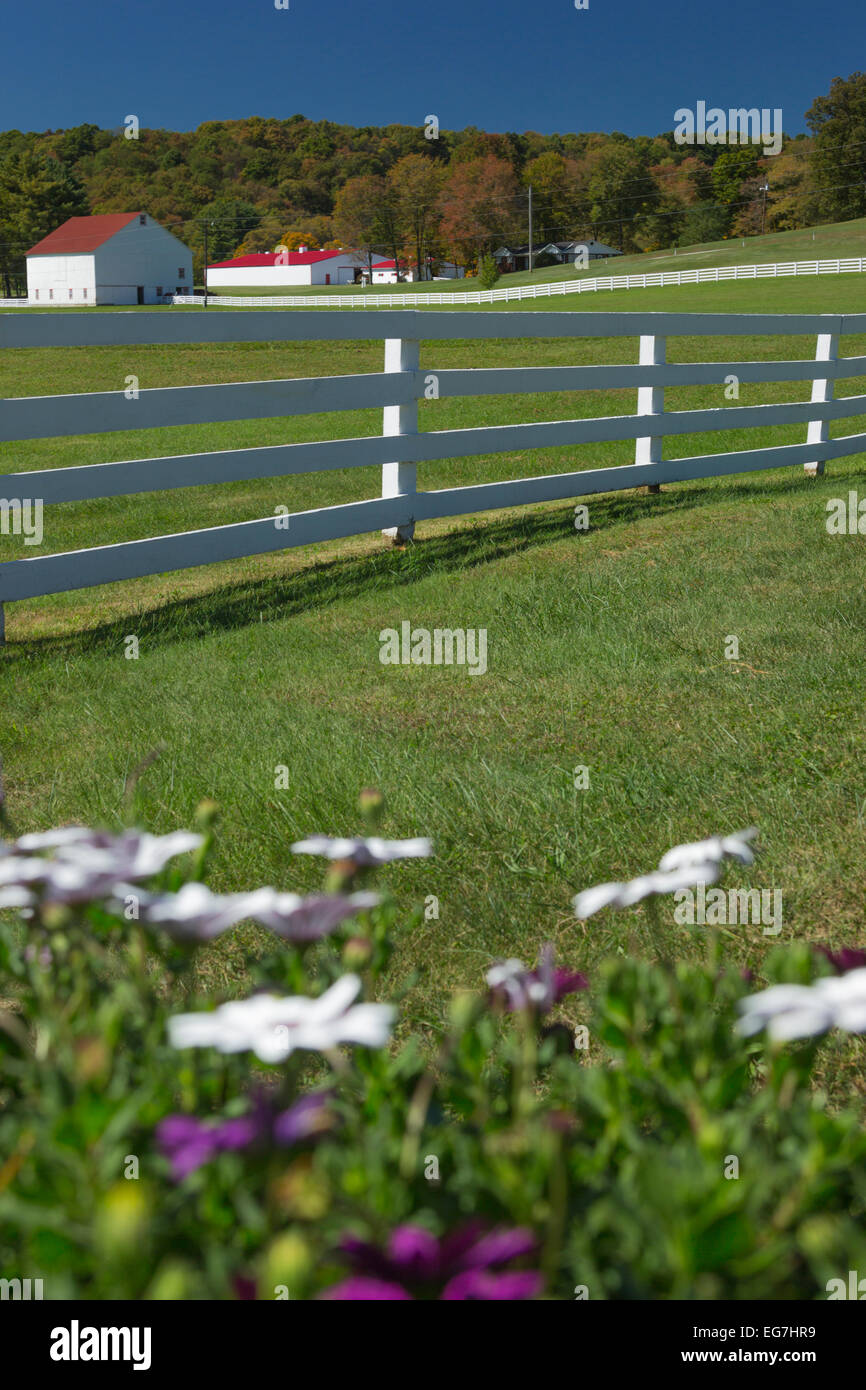 PFERDEHOF PLUM CREEK INDIANA COUNTY PENNSYLVANIA USA Stockfoto