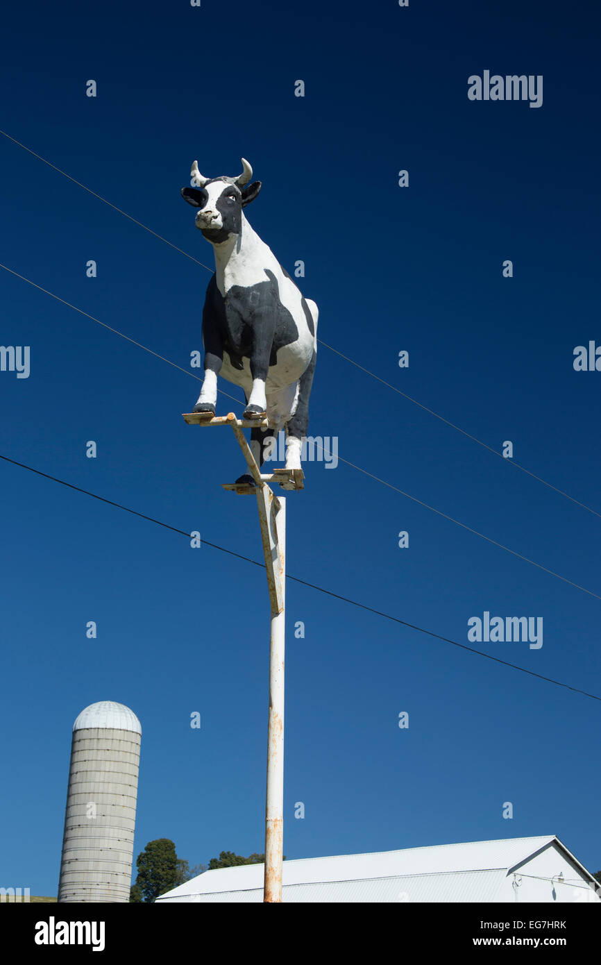 MILCH KUH SCHILD MILCHVIEHBETRIEB SMICKSBURG INDIANA COUNTY PENNSYLVANIA USA Stockfoto