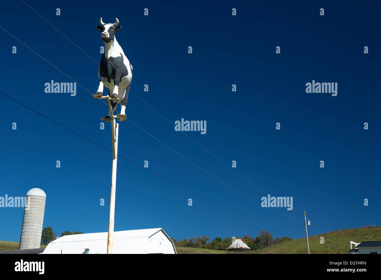 MILCH KUH SCHILD MILCHVIEHBETRIEB SMICKSBURG INDIANA COUNTY PENNSYLVANIA USA Stockfoto