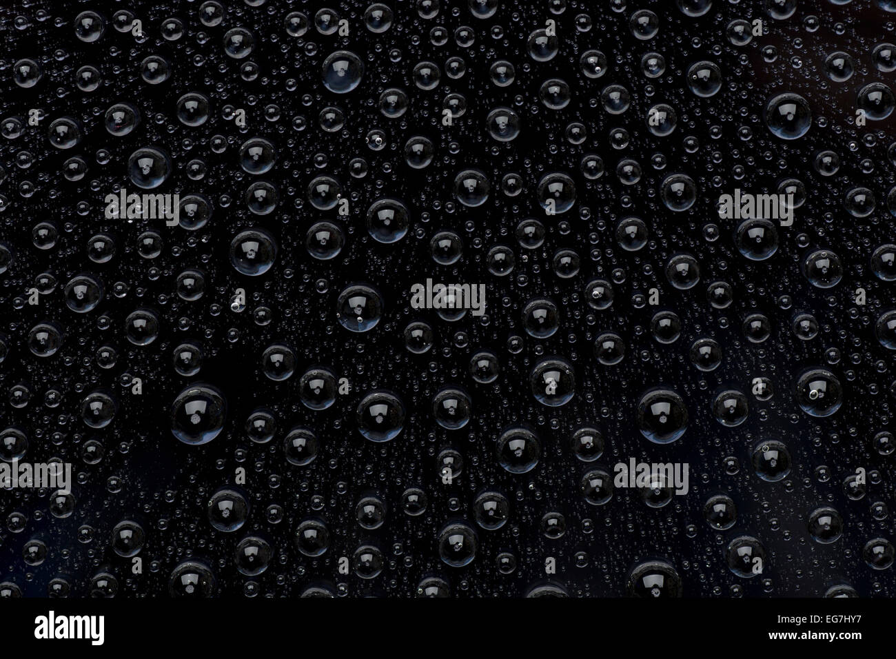 Wassertropfen auf schwarze Oberfläche Stockfoto