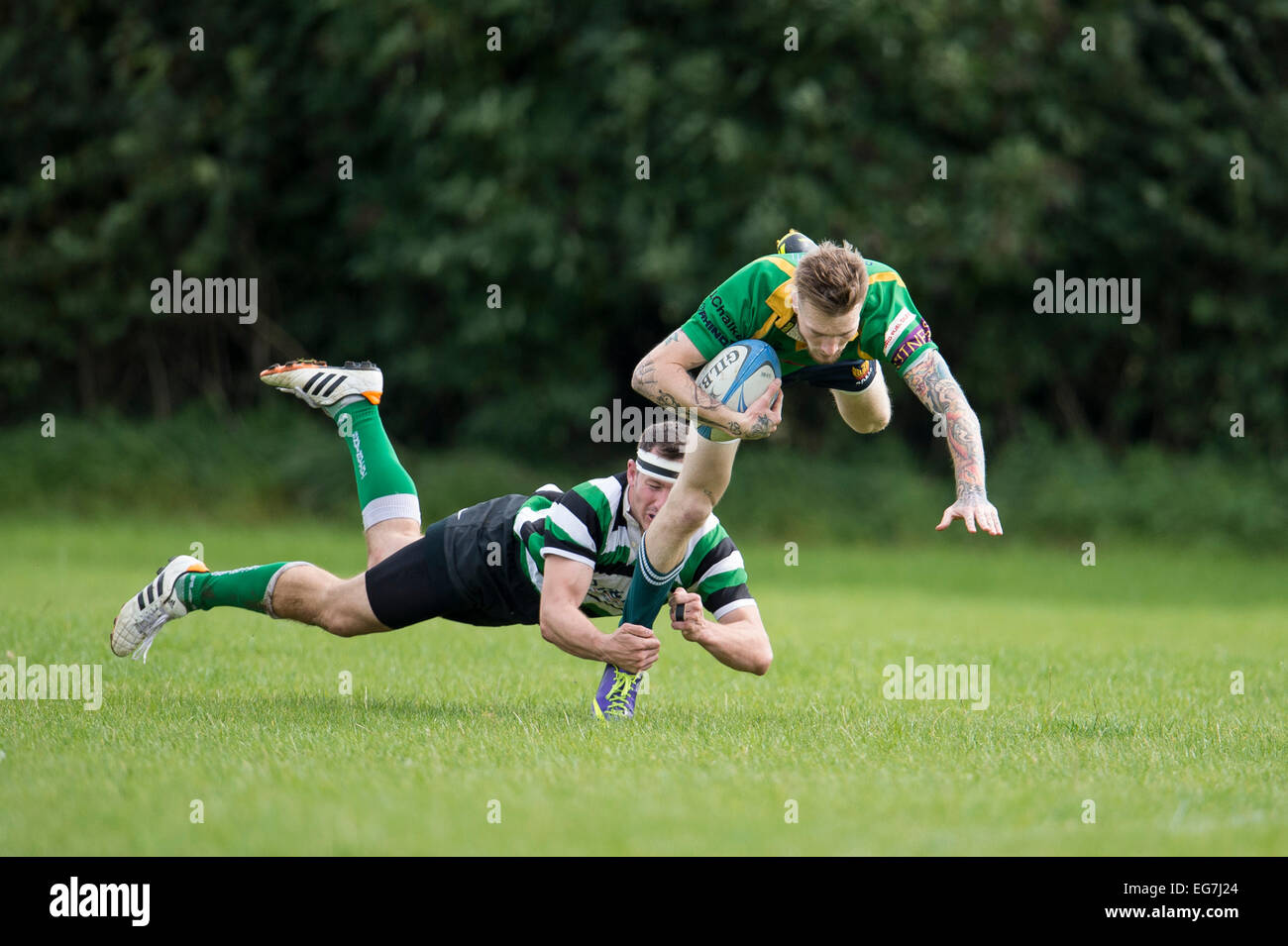 Rugby, Spieler in Angriff genommen. Stockfoto