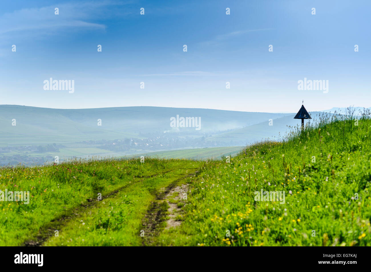 Grüne Hügel und Wiesen mit Wildblumen in Hügel, Berge, Landschaft. Rumänien, Siebenbürgen, Harghita. Stockfoto