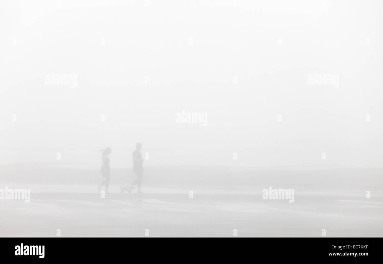 Ein paar ihren Hund an einem nebligen Strand mit ihrem Hund spazieren gehen. Stockfoto