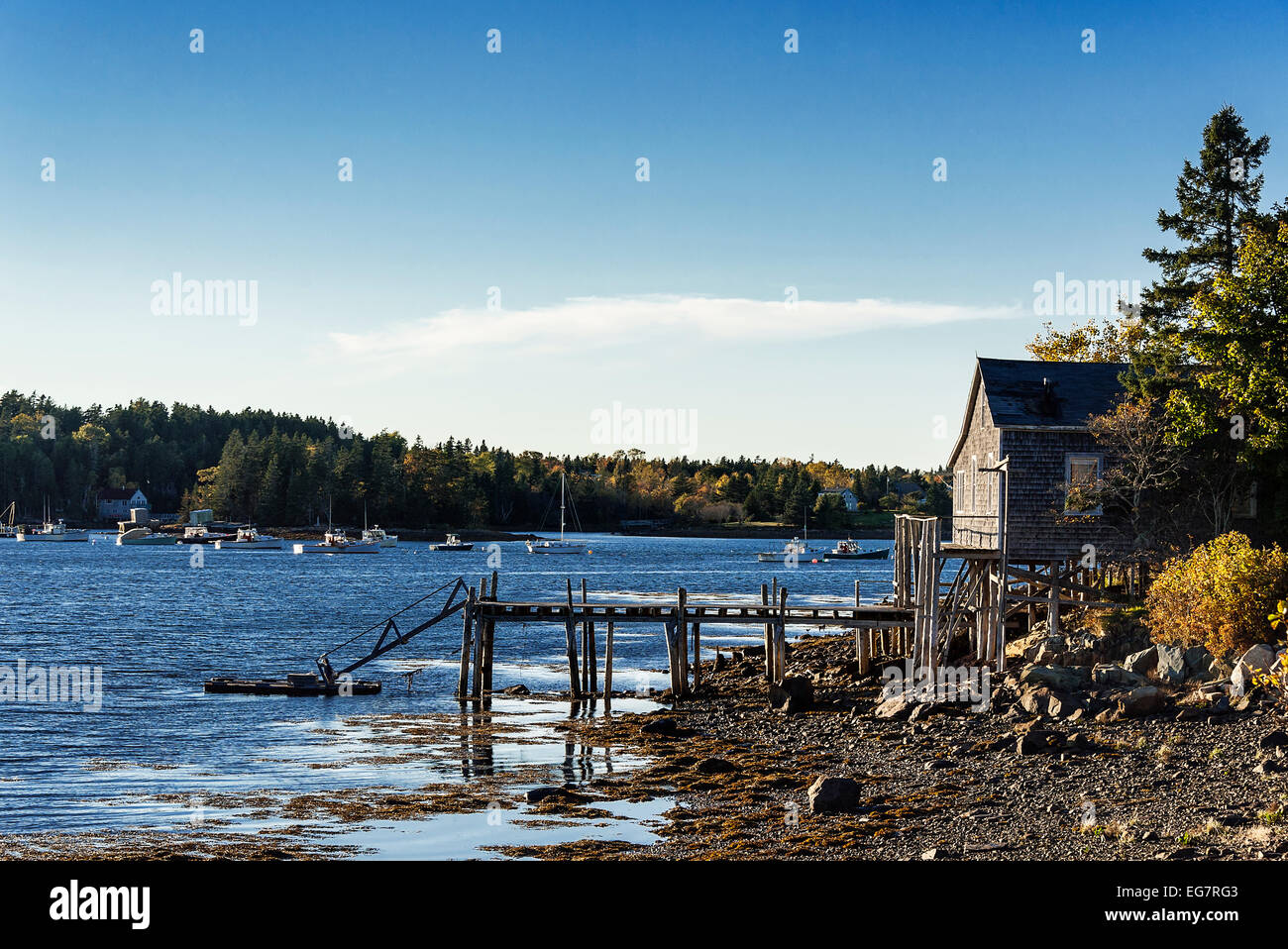 Küsten Hütte, Mt Desert Island, Maine, USA Stockfoto
