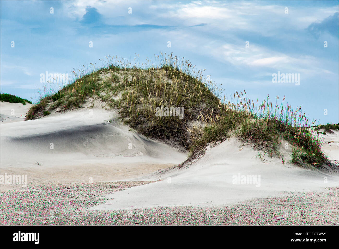 Düne Hügel und Meer Hafer, Outer Banks, North Caolina, USA Stockfoto