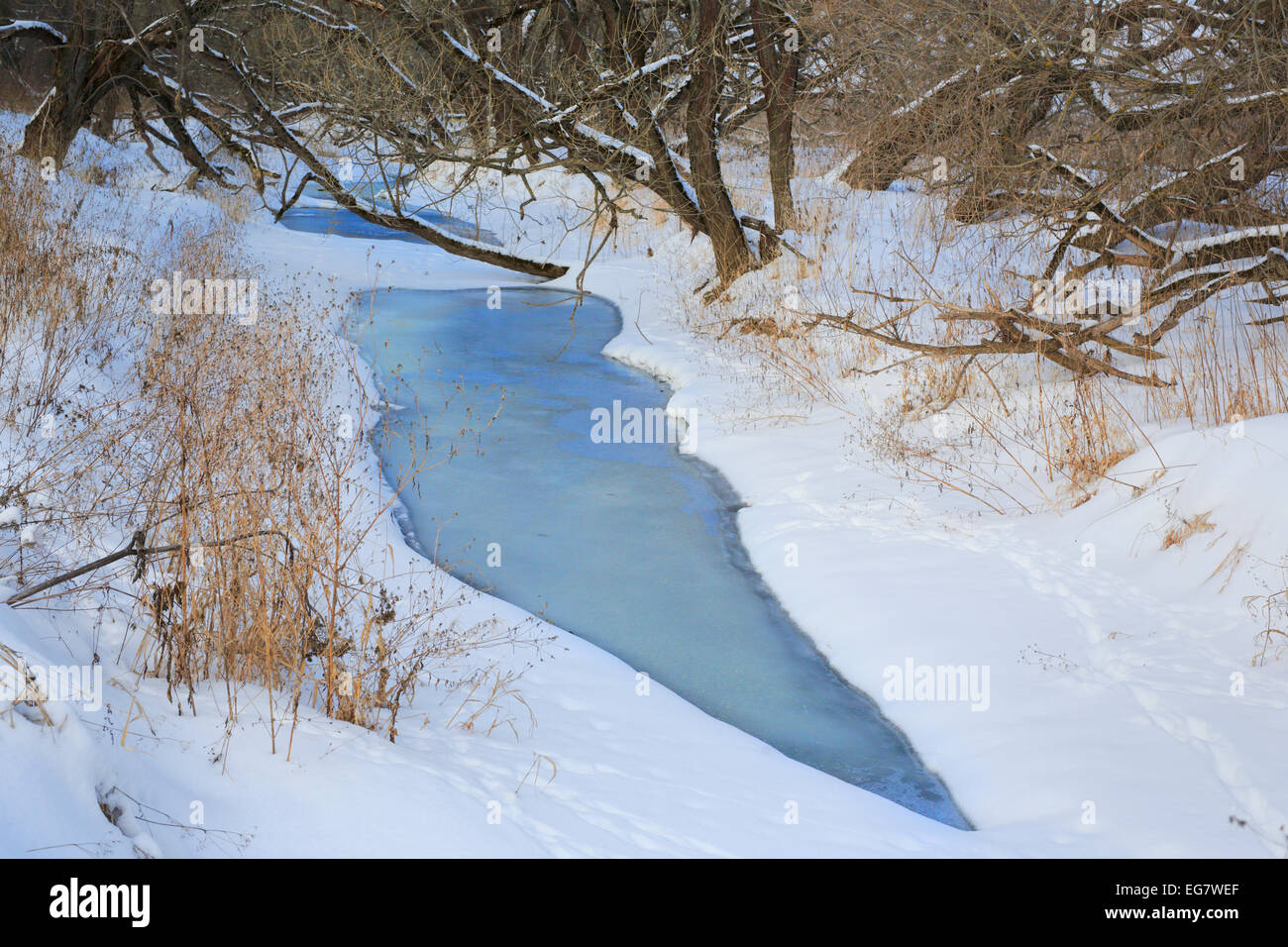 Fluss im Winterwald, Gebiet Moskau, Russland Stockfoto