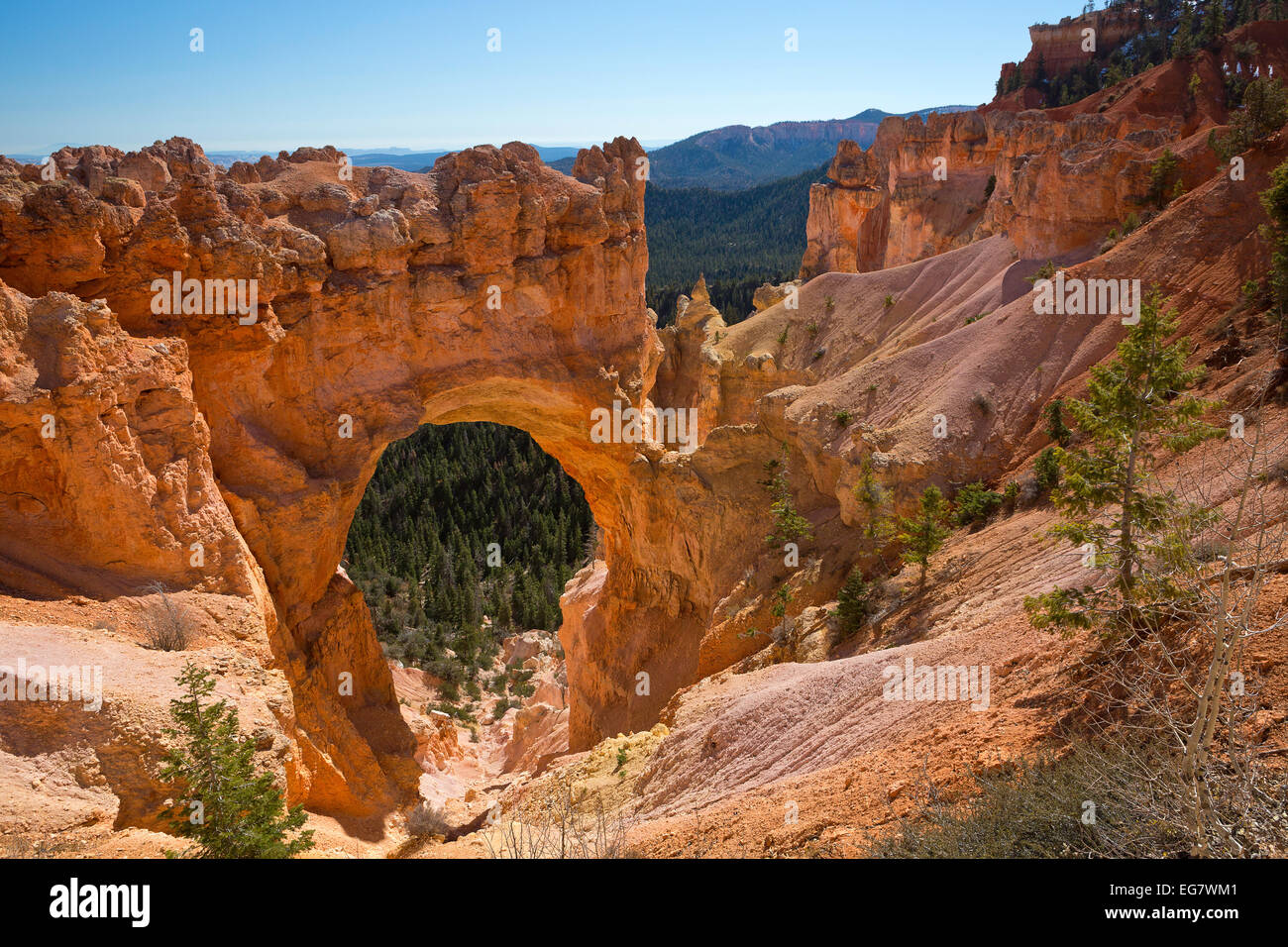 Natürliche Brückenbogen in Bryce-Canyon-Nationalpark. Utah. fallen. Mittag Stockfoto