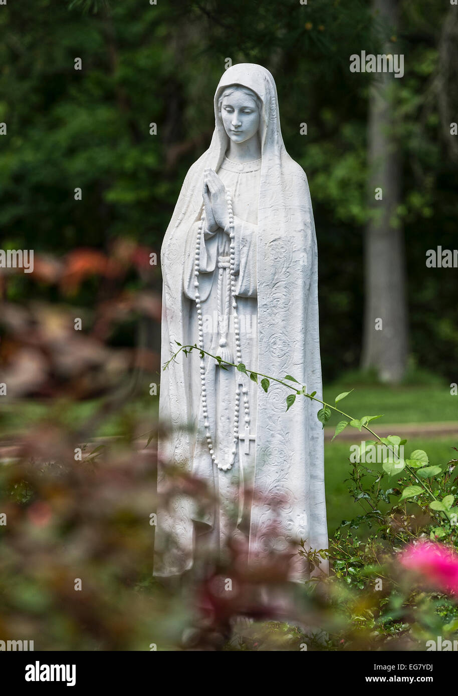 Rosengarten mit Statue der Gottesmutter. Stockfoto