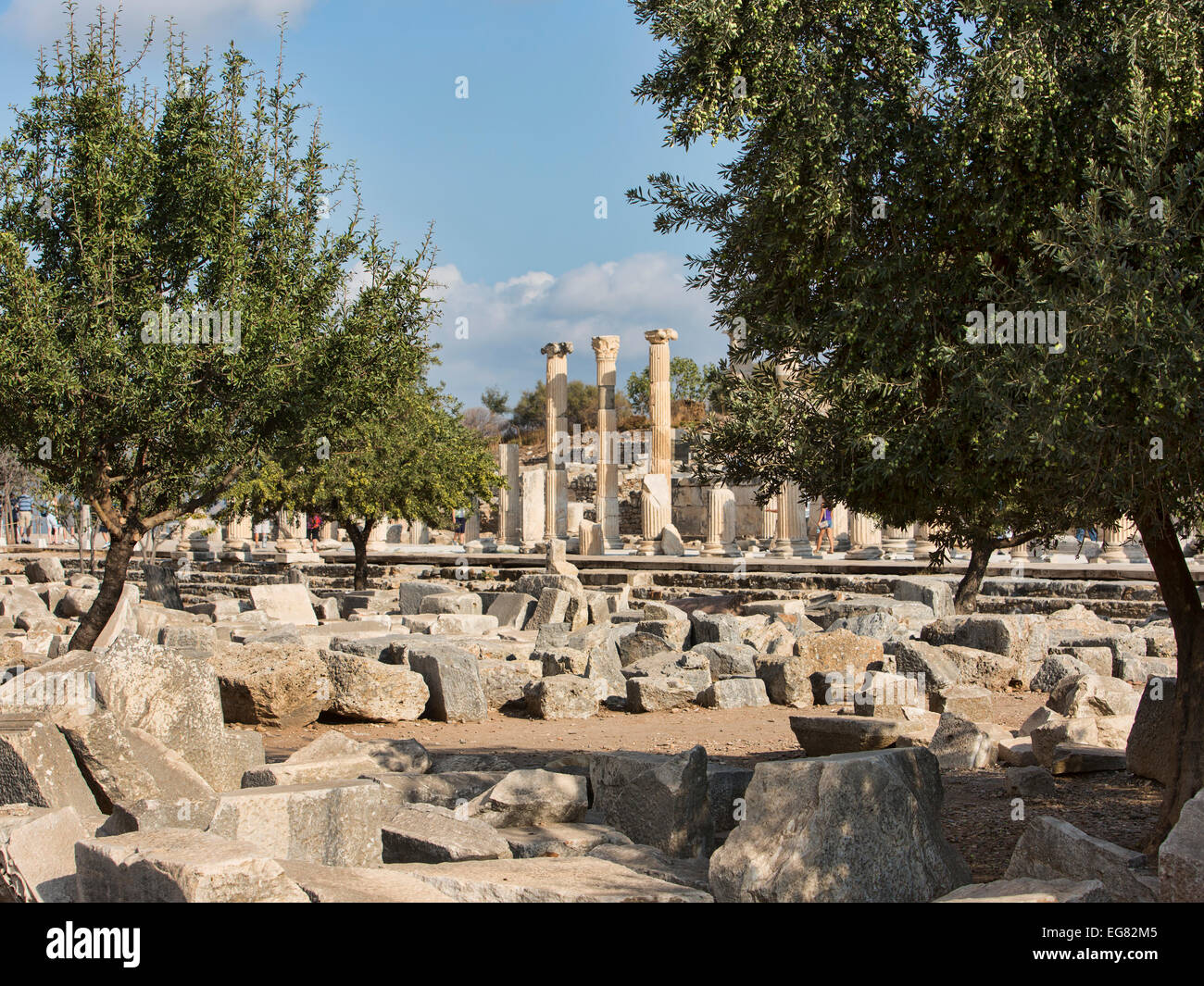 Ephesus-Türkei-antike römische Ruinen Olivenbäume Stockfoto