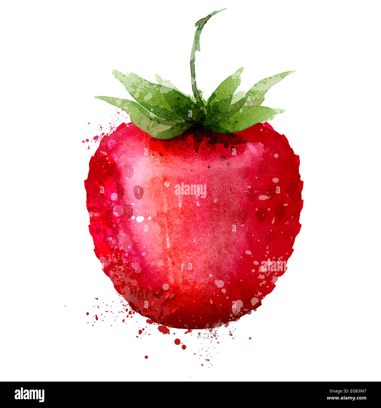 Aquarell. Berry auf weißem Hintergrund. Vektor-illustration Stockfoto