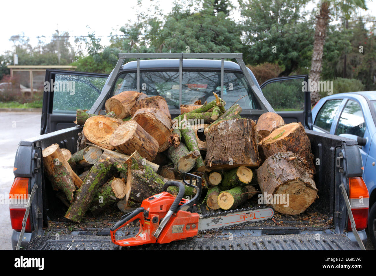 Sägen, umgestürzte Bäume und Äste für Brennholz Stockfoto