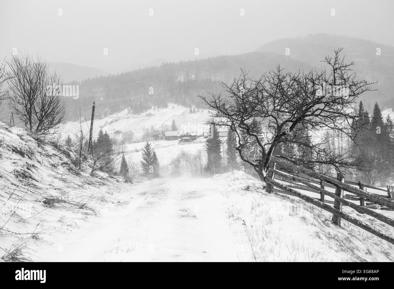 Clearing-Schneesturm in den Rocky Mountains. Stockfoto